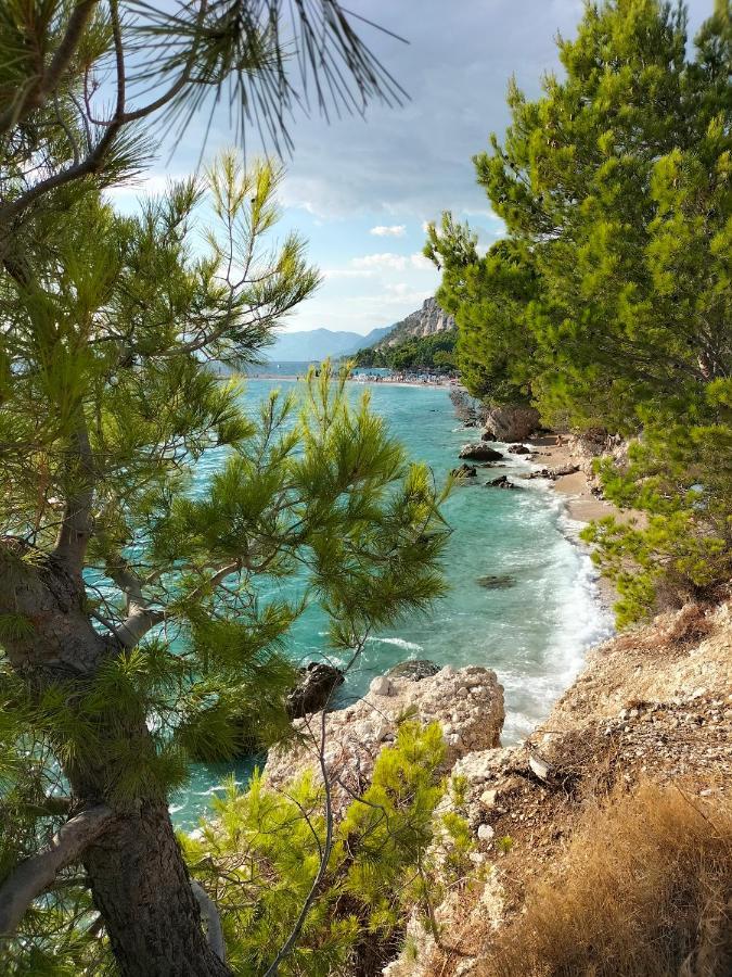 Studie-Apartment In Makarska, Kroatien Luaran gambar